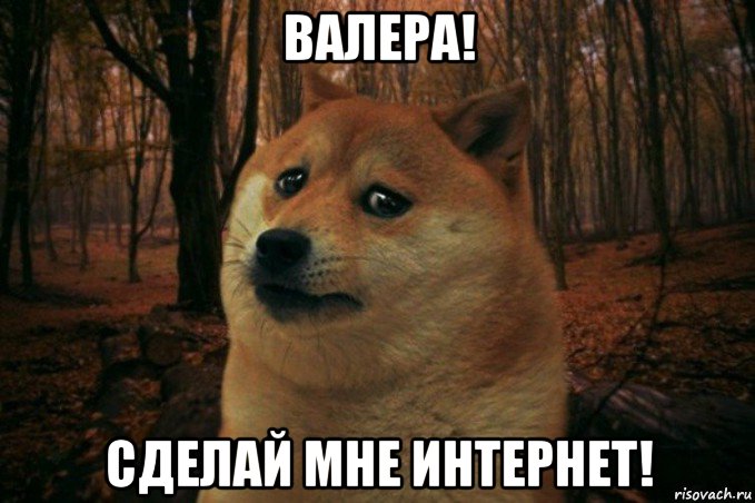 валера! сделай мне интернет!, Мем SAD DOGE