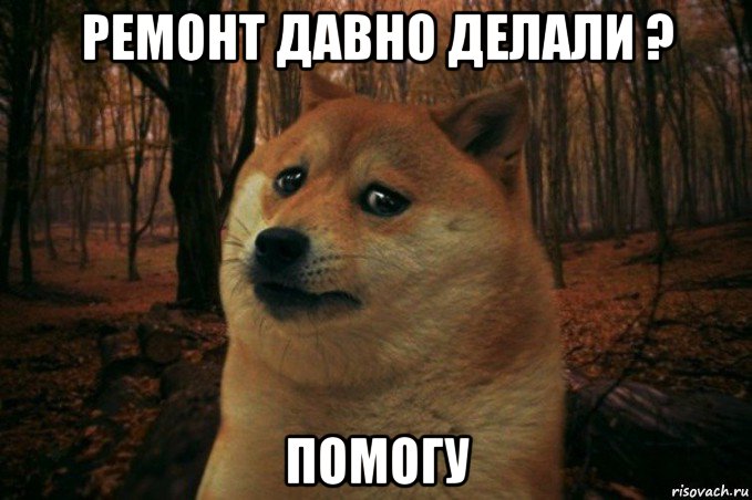 ремонт давно делали ? помогу, Мем SAD DOGE