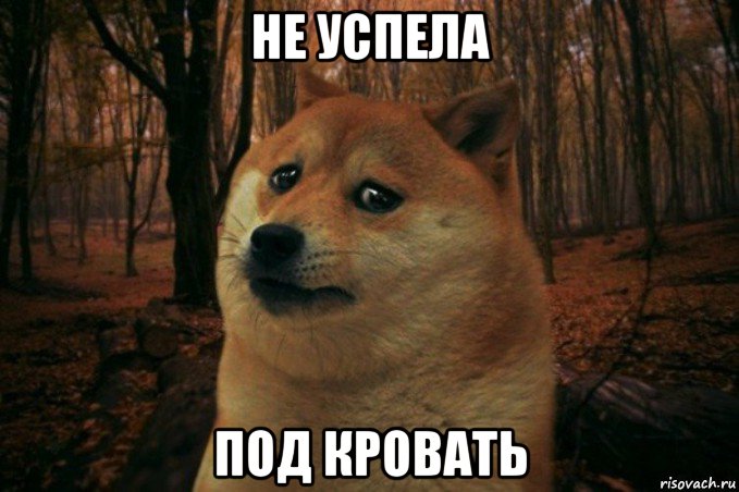 не успела под кровать, Мем SAD DOGE