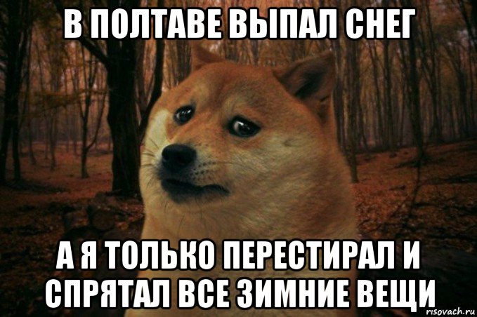 в полтаве выпал снег а я только перестирал и спрятал все зимние вещи, Мем SAD DOGE