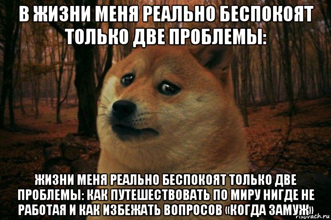 в жизни меня реально беспокоят только две проблемы: жизни меня реально беспокоят только две проблемы: как путешествовать по миру нигде не работая и как избежать вопросов «когда замуж», Мем SAD DOGE