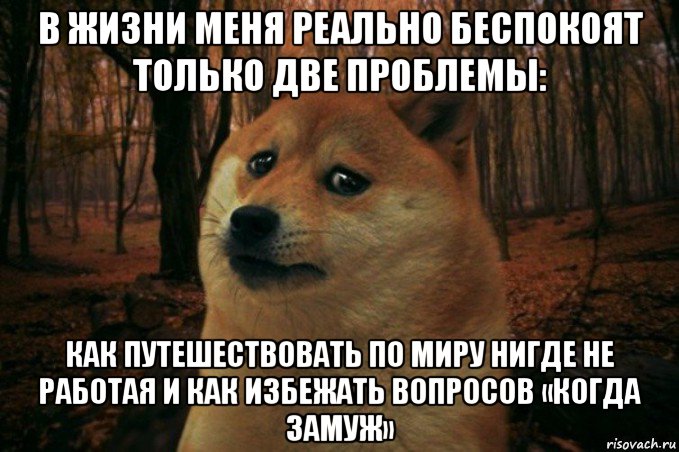 в жизни меня реально беспокоят только две проблемы: как путешествовать по миру нигде не работая и как избежать вопросов «когда замуж», Мем SAD DOGE