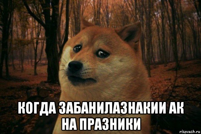  когда забанилазнакии ак на празники, Мем SAD DOGE