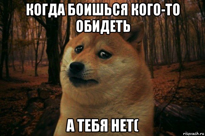 когда боишься кого-то обидеть а тебя нет(, Мем SAD DOGE