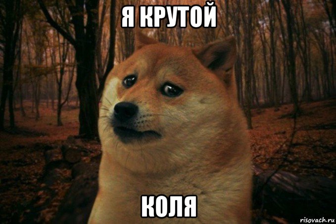 я крутой коля, Мем SAD DOGE