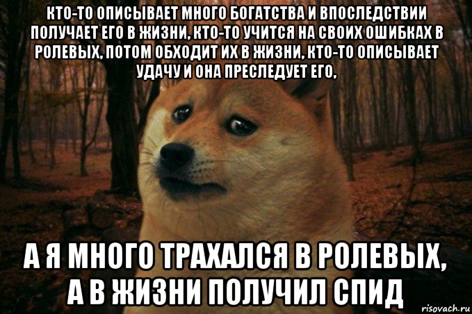 кто-то описывает много богатства и впоследствии получает его в жизни, кто-то учится на своих ошибках в ролевых, потом обходит их в жизни, кто-то описывает удачу и она преследует его, а я много трахался в ролевых, а в жизни получил спид, Мем SAD DOGE