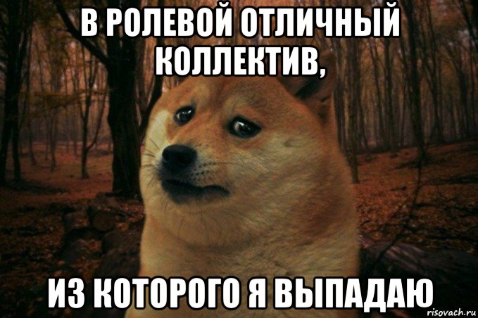 в ролевой отличный коллектив, из которого я выпадаю, Мем SAD DOGE