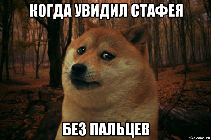 когда увидил стафея без пальцев, Мем SAD DOGE