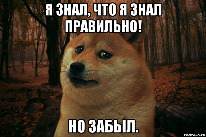 я знал, что я знал правильно! но забыл., Мем SAD DOGE