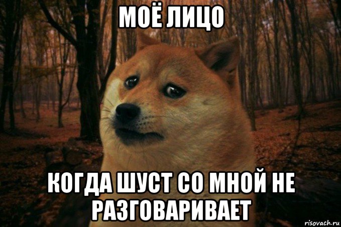 моё лицо когда шуст со мной не разговаривает, Мем SAD DOGE