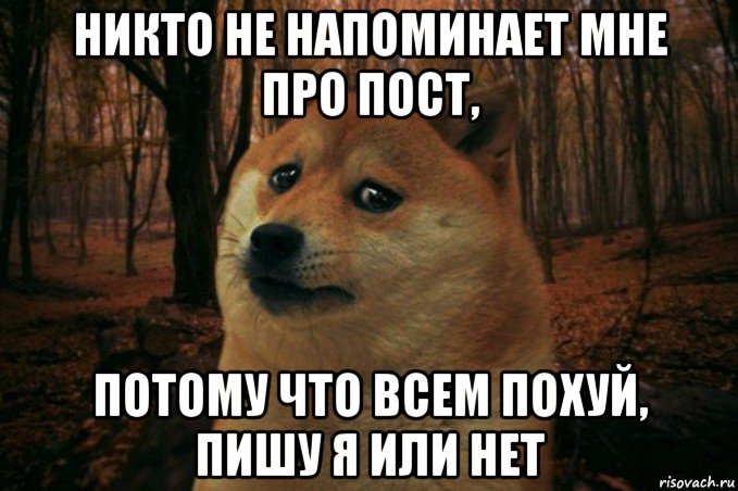 никто не напоминает мне про пост, потому что всем похуй, пишу я или нет, Мем SAD DOGE