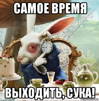 самое время выходить, сука!