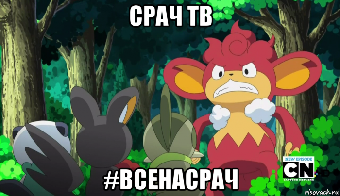 срач тв #всенасрач, Мем SasHkasieg
