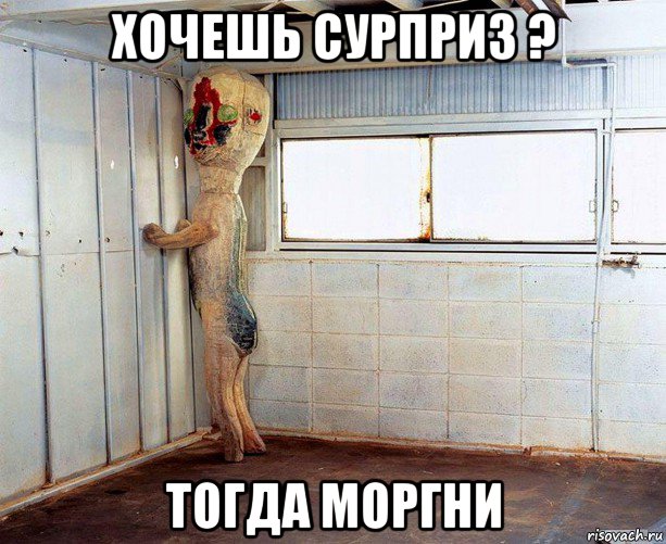 хочешь сурприз ? тогда моргни