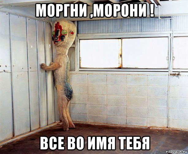 моргни ,морони ! все во имя тебя