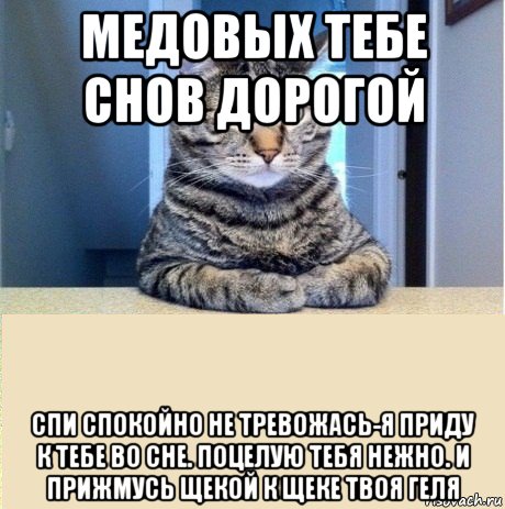 медовых тебе снов дорогой спи спокойно не тревожась-я приду к тебе во сне. поцелую тебя нежно. и прижмусь щекой к щеке твоя геля