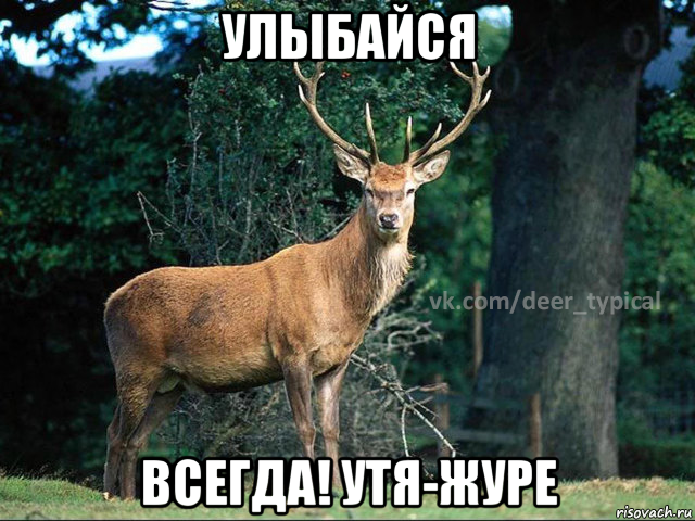 улыбайся всегда! утя-журе