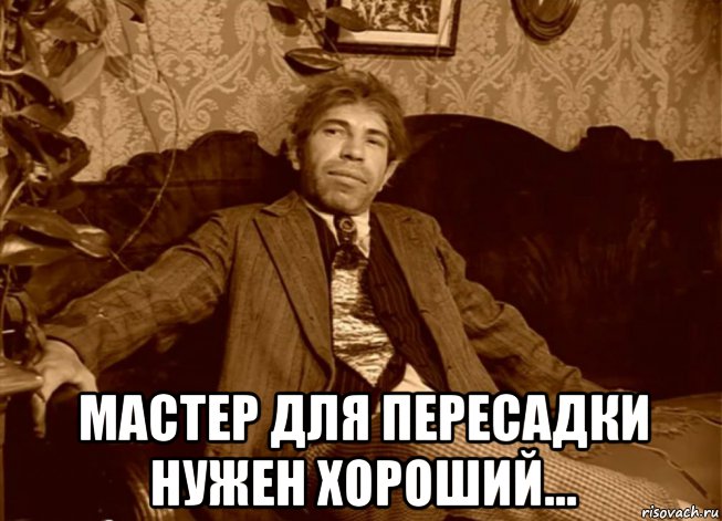  мастер для пересадки нужен хороший..., Мем Шариков