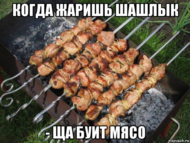 когда жаришь шашлык - ща буит мясо, Мем шашлык