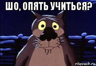 шо, опять учиться? , Мем Шо Опять