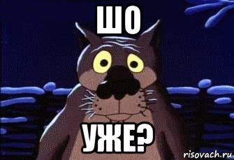 шо уже?, Мем Шо Опять