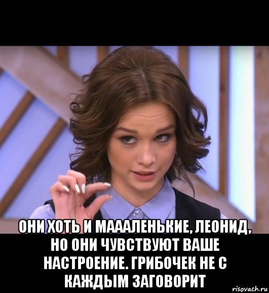  они хоть и маааленькие, леонид, но они чувствуют ваше настроение. грибочек не с каждым заговорит