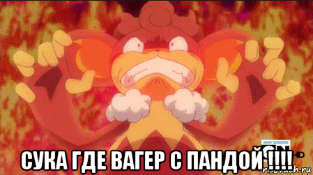  сука где вагер с пандой !!!!