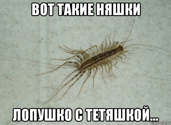 вот такие няшки лопушко с тетяшкой...