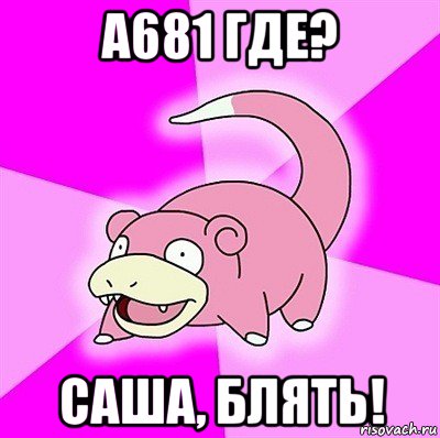 а681 где? саша, блять!, Мем слоупок