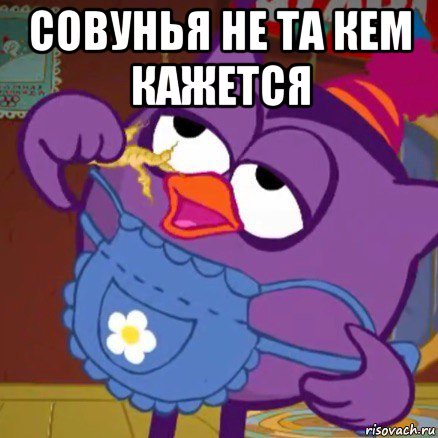 совунья не та кем кажется 