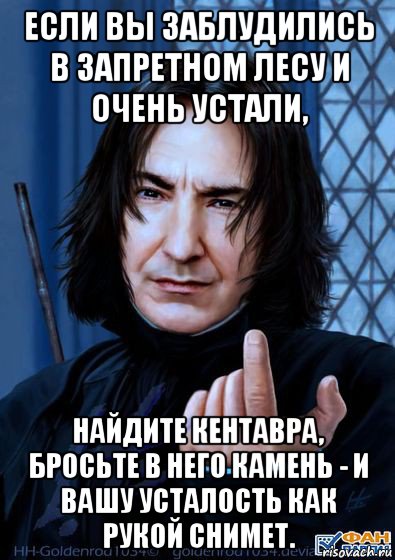 если вы заблудились в запретном лесу и очень устали, найдите кентавра, бросьте в него камень - и вашу усталость как рукой снимет., Мем Снейп подзывает пальцем