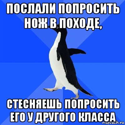 послали попросить нож в походе, стесняешь попросить его у другого класса, Мем  Социально-неуклюжий пингвин