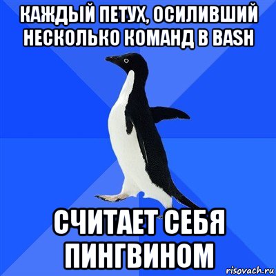 каждый петух, осиливший несколько команд в bash считает себя пингвином, Мем  Социально-неуклюжий пингвин