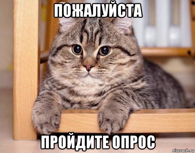 пожалуйста пройдите опрос
