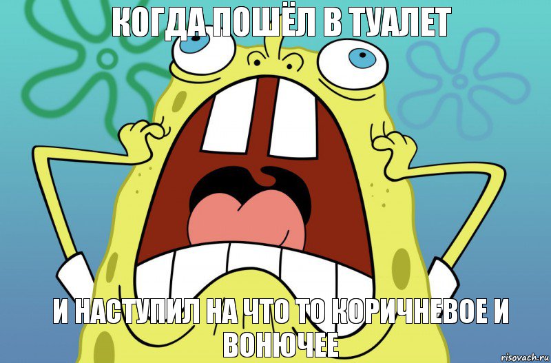 когда пошёл в туалет и наступил на что то коричневое и вонючее, Комикс  Спанч боб