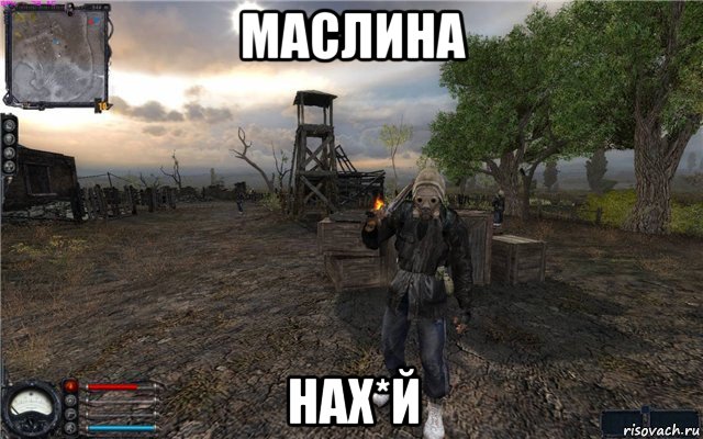 маслина нах*й, Мем Сталкер