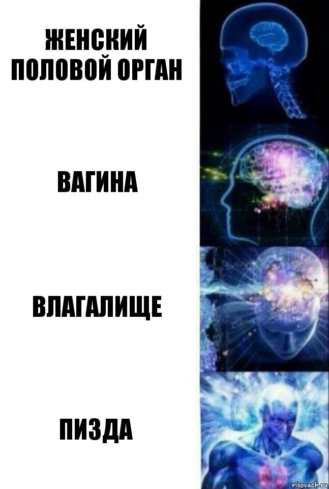 Женский половой орган Вагина Влагалище Пизда, Комикс  Сверхразум