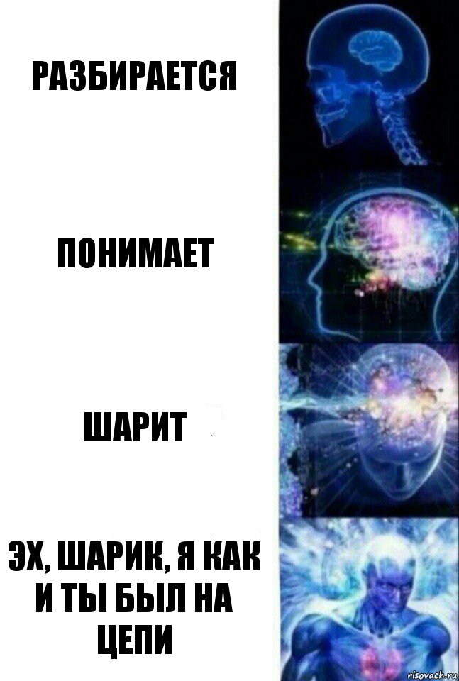 разбирается понимает шарит эх, Шарик, я как и ты был на цепи, Комикс  Сверхразум