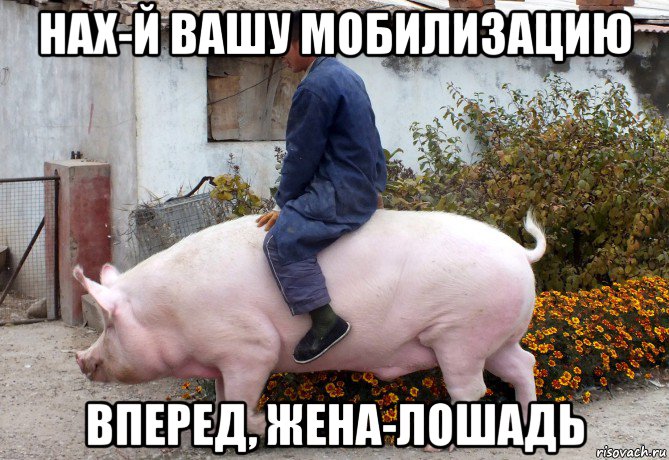 нах-й вашу мобилизацию вперед, жена-лошадь