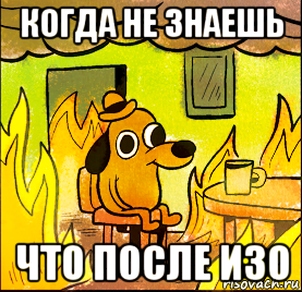 когда не знаешь что после изо