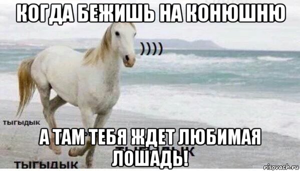 когда бежишь на конюшню а там тебя ждет любимая лошадь!, Мем   Тыгыдык