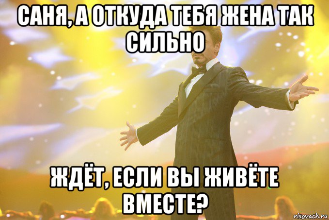 саня, а откуда тебя жена так сильно ждёт, если вы живёте вместе?, Мем Тони Старк (Роберт Дауни младший)