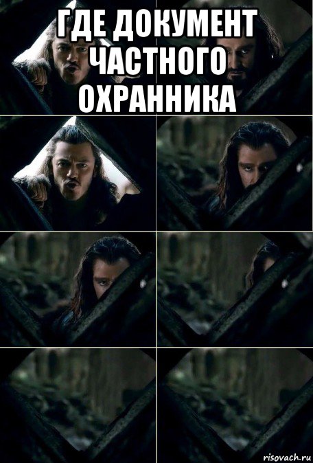 где документ частного охранника 