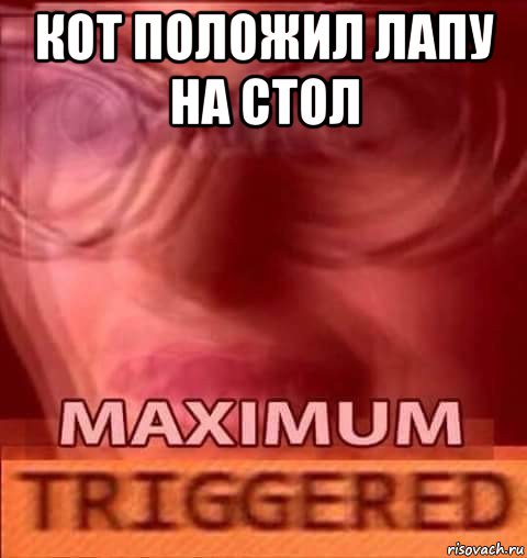 кот положил лапу на стол 