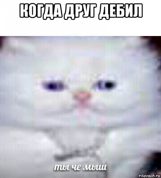 когда друг дебил 