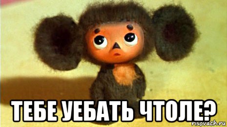  тебе уебать чтоле?, Мем ТЫ ЧЕ СУКА ТУПОЙ