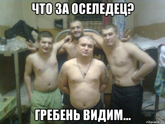 что за оселедец? гребень видим...