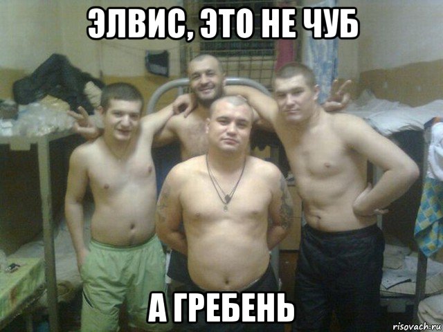 элвис, это не чуб а гребень