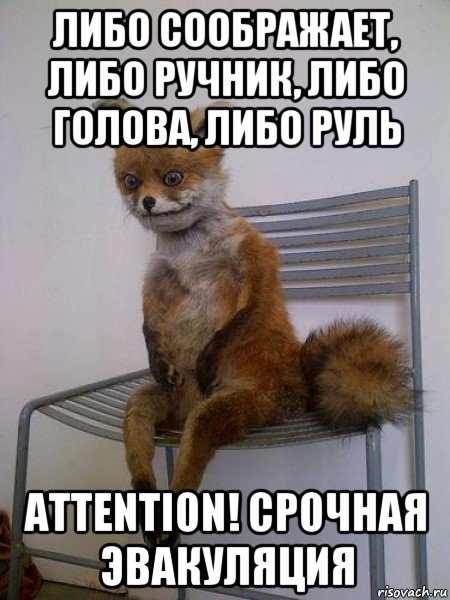 либо соображает, либо ручник, либо голова, либо руль attention! срочная эвакуляция, Мем Упоротая лиса