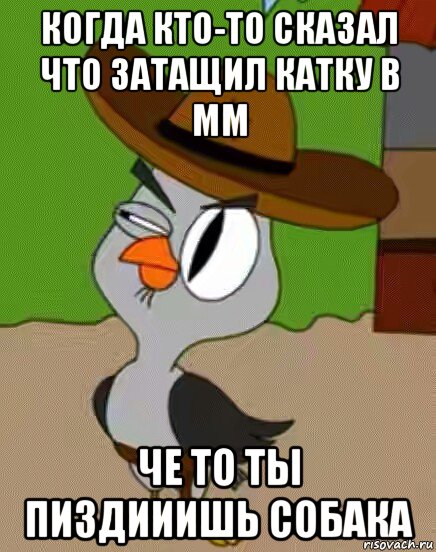 когда кто-то сказал что затащил катку в мм че то ты пиздииишь собака, Мем    Упоротая сова